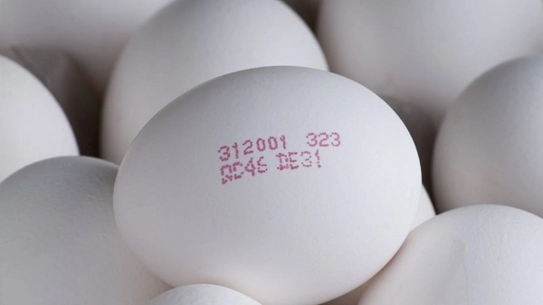 Foto - Yumurta alırken bu detaya dikkat edin! Bu numaraların sırrı ne?