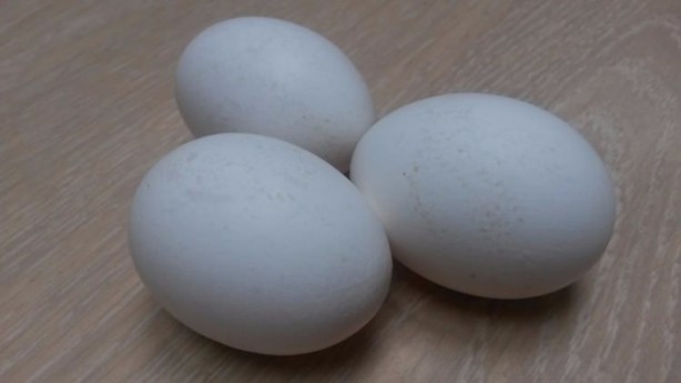 Foto - Yumurta alırken bunlara dikkat edin!