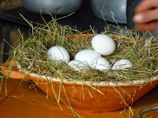 Foto - Yumurta alırken bunlara dikkat edin!