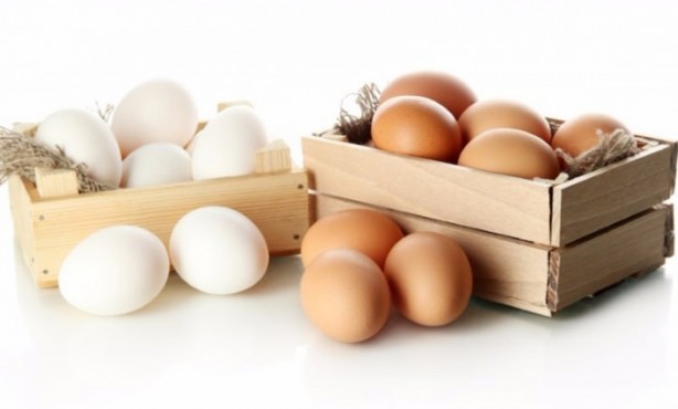 Foto - Yumurta alırken bunlara dikkat edin!