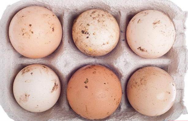 Yumurta alırken dikkat! Eğer üstün bu 3 rakam bulunuyorsa...