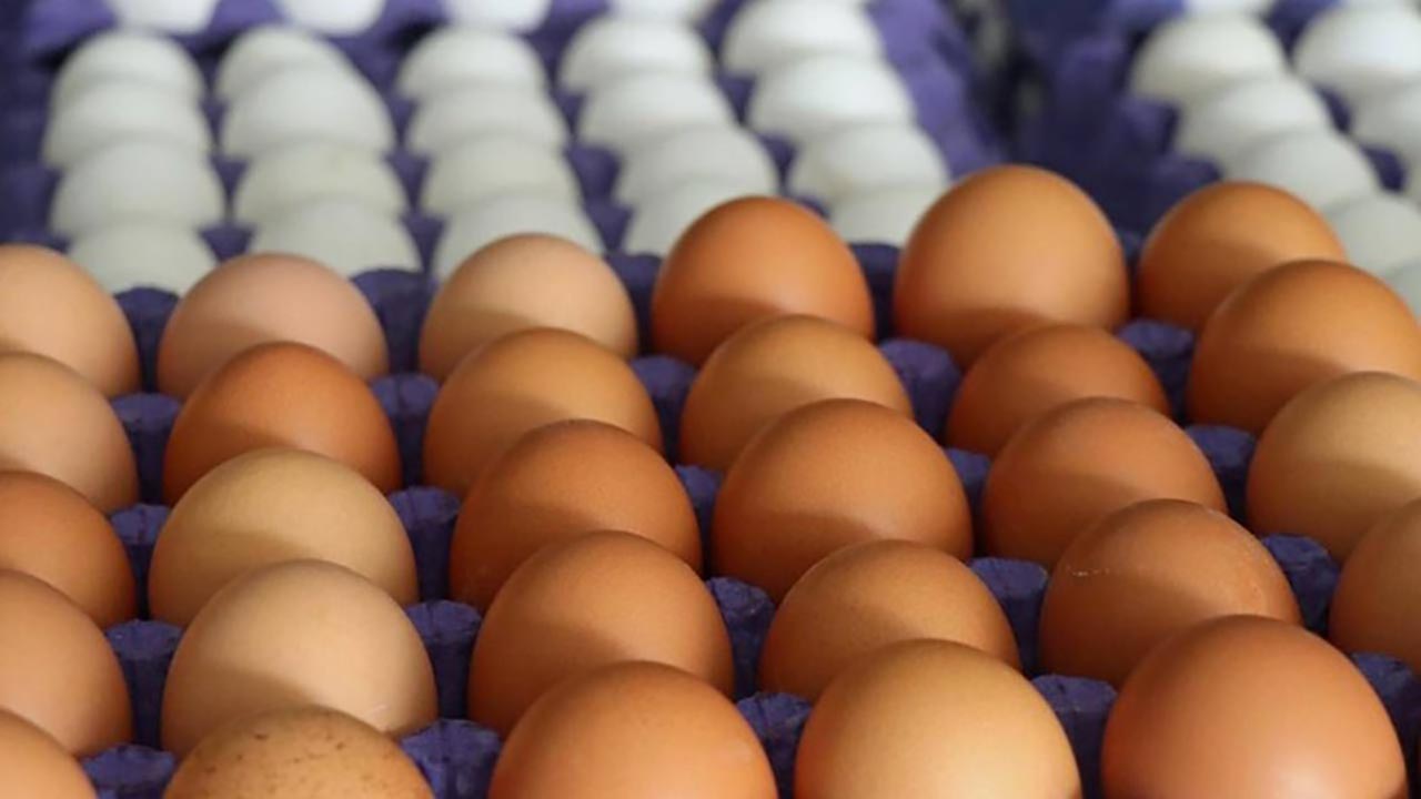 Foto - Yumurta fiyat krizi! Bu kadarı da beklenmiyordu