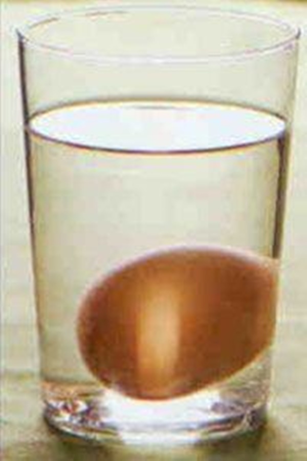 Foto - Yumurta hakkında bunları biliyor musunuz?