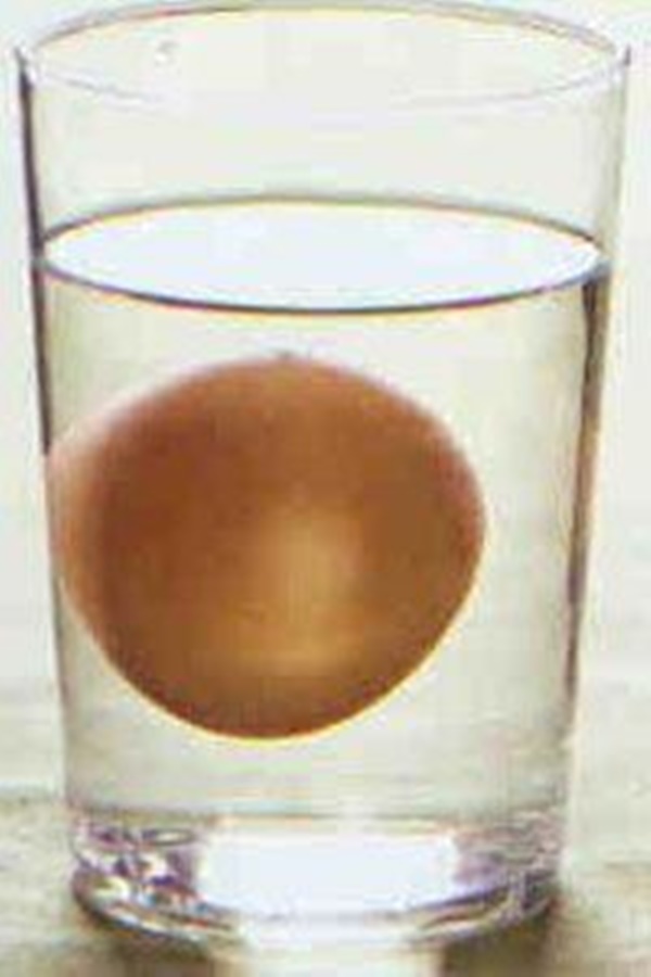 Foto - Yumurta hakkında bunları biliyor musunuz?