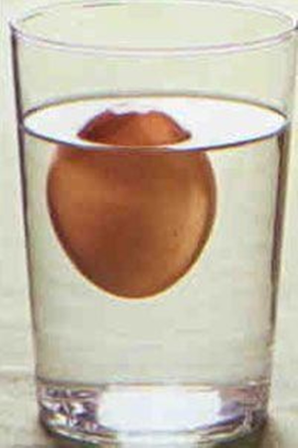 Foto - Yumurta hakkında bunları biliyor musunuz?