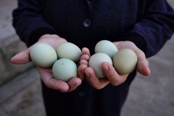 Foto - Yumurta hangi kıvamda olmalı?