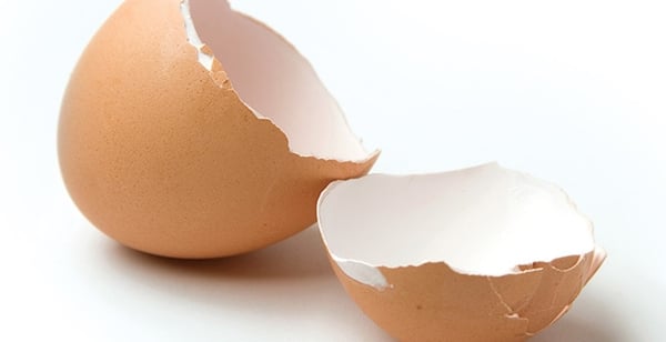 Foto - Yumurta kabuğunu çöpe atmayın!