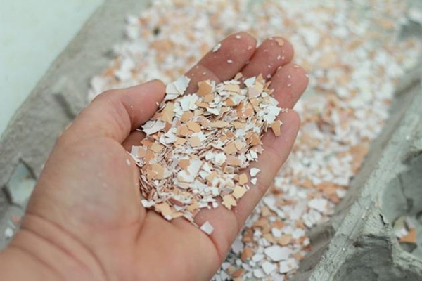 Foto - Yumurta kabuğunu çöpe atmayın!