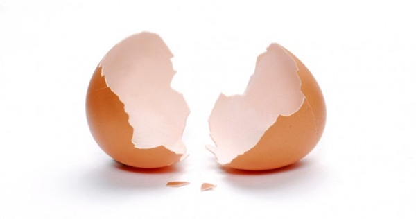 Foto - Yumurta kabuğunu çöpe atmayın!