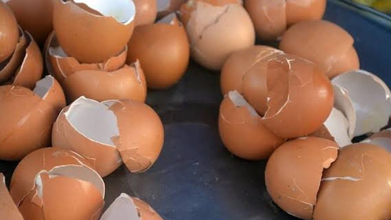 Foto - Sakın çöpe atmayın: Yumurta kabukları ev temizliğinde bu yöntem bakın ne işe yarıyor