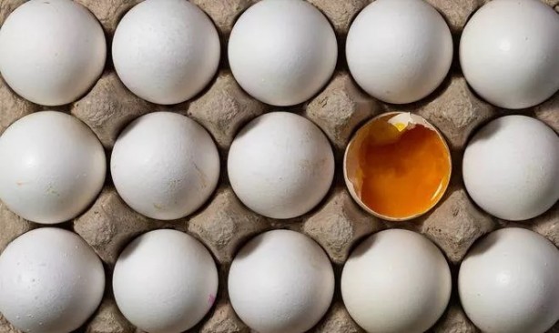 Foto - Yumurtadaki beyaz kısım bakın ne işe yarıyor! Gördüğünüze sevinin