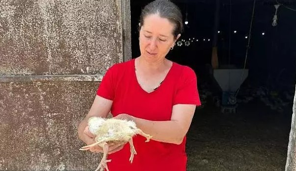 Foto - Yumurtadan çıkan herkesi şaşkına çevirdi: ilk defa böyle bir şey görüyorum