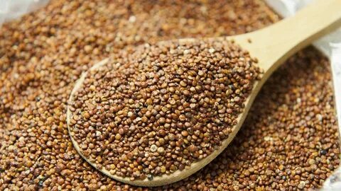 Foto - Yumurtadan daha çok protein barındırıyor! Diyetisyenler asla anlatmamıştı