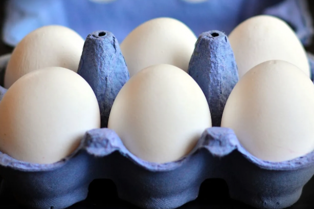 Foto - Yumurtaları toprağa gömün 6 hafta bekleyin! Sonuç inanılmaz