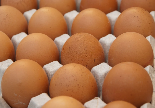 Foto - Yumurtaları toprağa gömün 6 hafta bekleyin! Sonuç inanılmaz