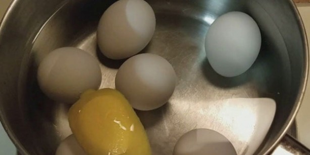 Foto - Yumurtalarınızı kaynattığınız suya limon eklerseniz