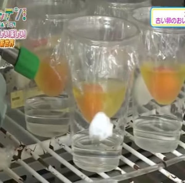 Foto - Yumurtanın civcive dönüşümü görüntülendi! .