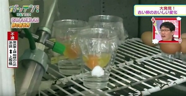 Foto - Yumurtanın civcive dönüşümü görüntülendi! .