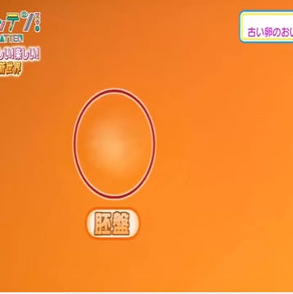 Foto - Yumurtanın civcive dönüşümü görüntülendi! .