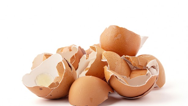 Foto - Yumurtanın kabuğunu sakın atmayın! Bu yöntemi çok az kişi biliyor! O faydasını duyunca, ağzınız bir karış açık kalacak