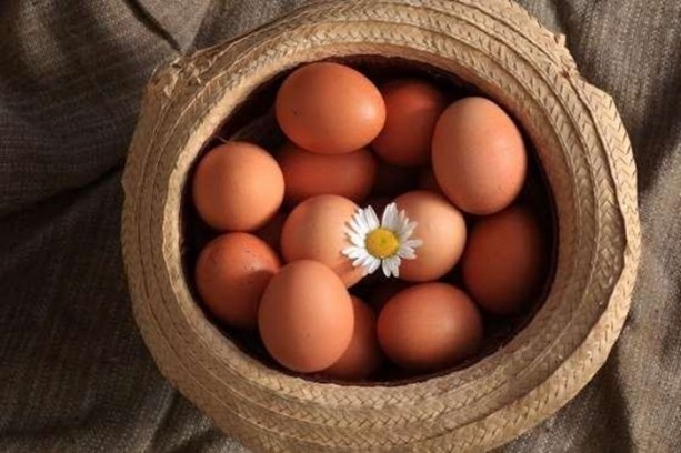  Yumurtanın sarısı koyu renkse...