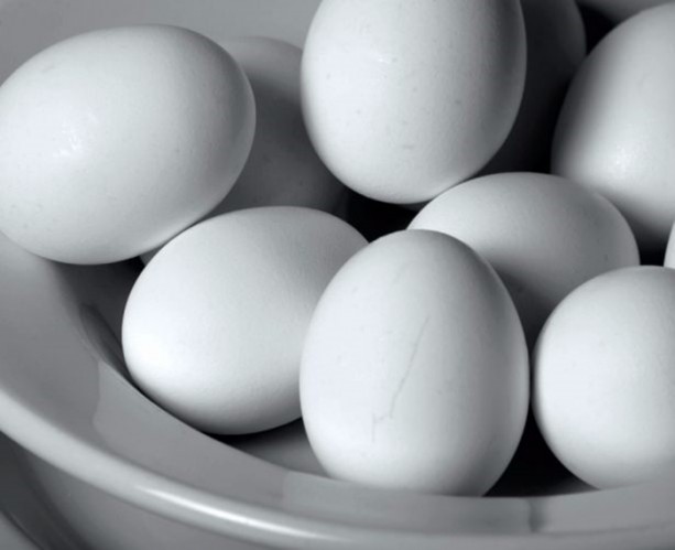 Foto - Yumurtaya dair bilmedikleriniz...