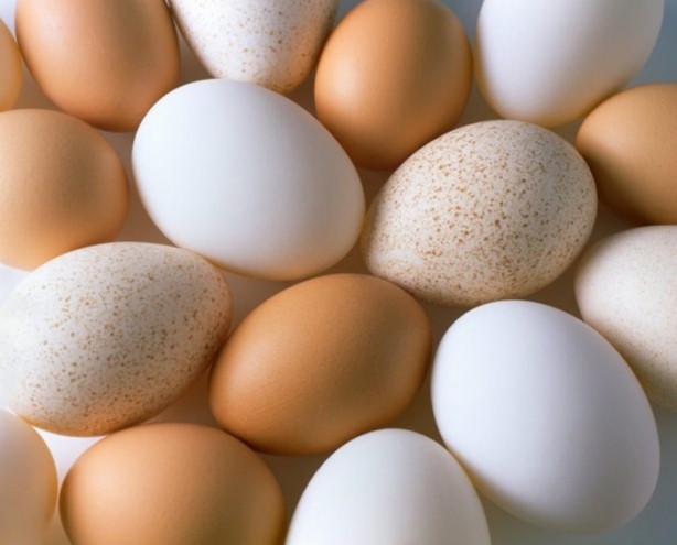 Foto - Yumurtaya dair bilmedikleriniz...