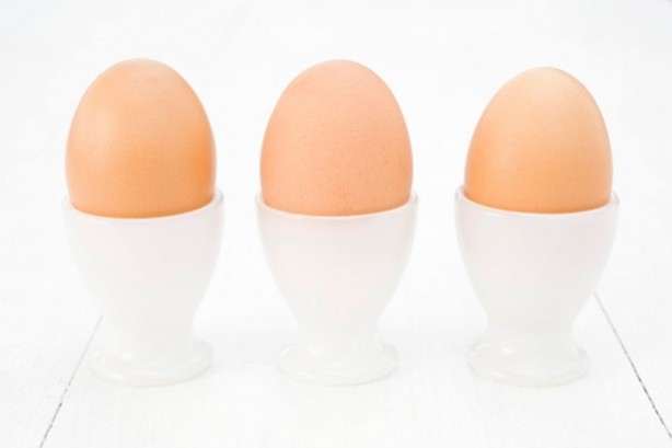 Foto - Yumurtaya dair bilmedikleriniz...