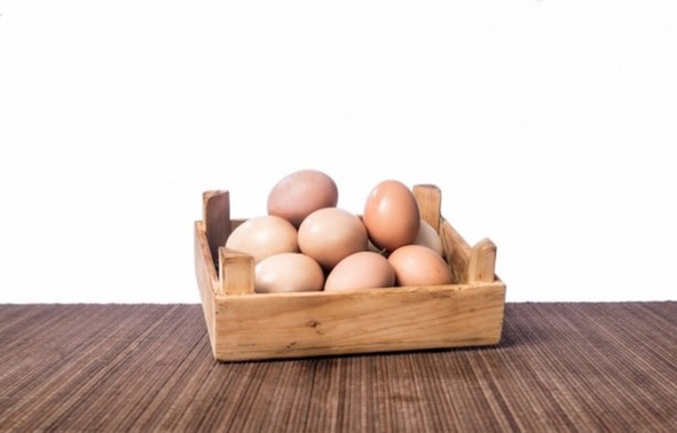 Foto - Yumurtaya dair bilmedikleriniz...