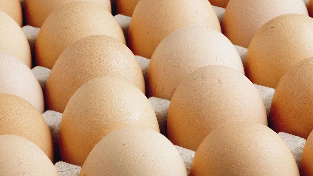 Foto - Yumurtaya dokunduktan hemen sonra suyu açın ve bunu yapın