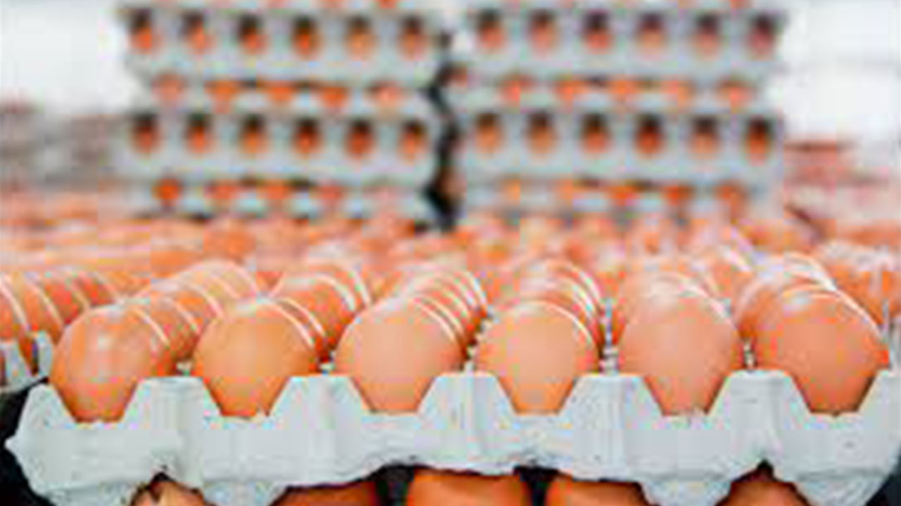 Foto - Yumurtaya dokunduktan hemen sonra suyu açın ve bunu yapın