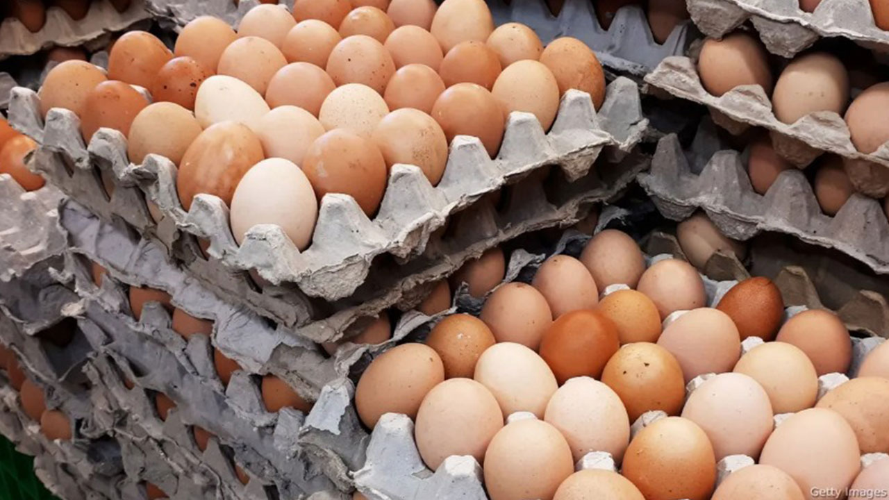 Foto - Yumurtaya dokunduktan hemen sonra suyu açın ve bunu yapın