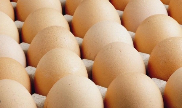 Foto - Yumurtayı bu şekilde yiyerek 10 günde 5 kilo verin, oturduğunuz yerden yağ yakacaksınız