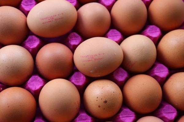 Foto - Yumurtayı küçük mü almalı büyük mü?