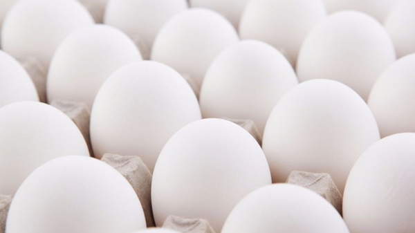 Foto - Yumurtayı küçük mü almalı büyük mü?