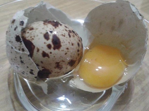 Foto - Yumurtayı küçük mü almalı büyük mü?