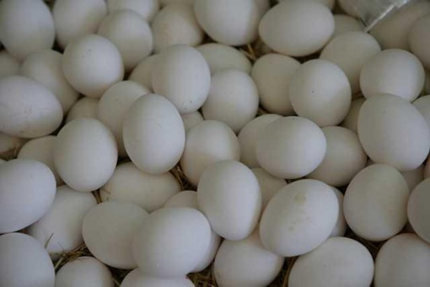 Foto - Yumurtayı o fiyattan satmaya başladılar! Gören şok oldu! Büyük terbiyesizlik 