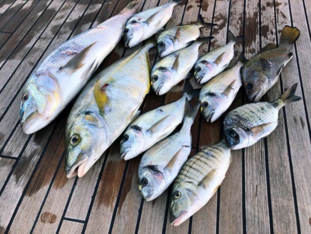 Foto - Yumurtayla birlikte tüketilmemesi gereken besinler nelerdir? Birlikte yendiğinde sadece zarar veriyor! Evde sağlık 