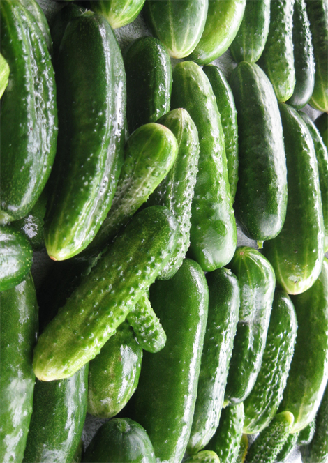 Foto - Yumuşayan salatalıkları çıtır çıtır yapan basit yöntem! Çöpe atmak yerine bunu deneyin! Nutkunuz tutulacak