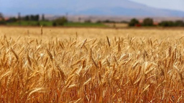 Foto - Yunan Pentapostagma: Türkiye bir şeylere hazırlanıyor! Stoka başladılar, endişeliyiz