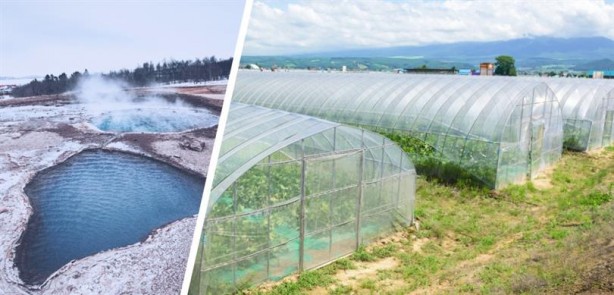 Foto - Yunan tarafı olan biten karşısında şaşkın: Türkiye'nin her yerinden fışkırıyor! 400 bin hektarı görecekler