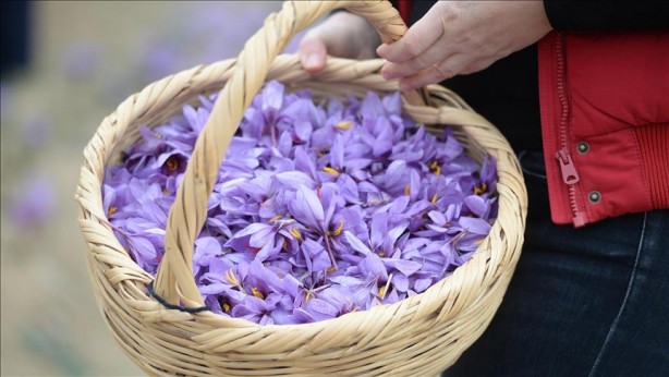 Foto - Yunanistan sahiplenmek istemişti! İşte Türkiye'nin AB tescilli o ürünleri