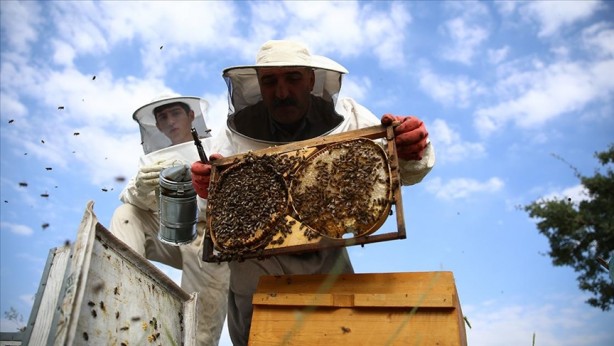 Foto - Yunanistan sahiplenmek istemişti! İşte Türkiye'nin AB tescilli o ürünleri