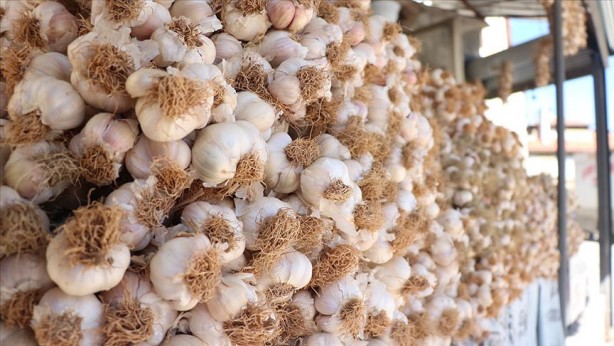 Foto - Yunanistan sahiplenmek istemişti! İşte Türkiye'nin AB tescilli o ürünleri