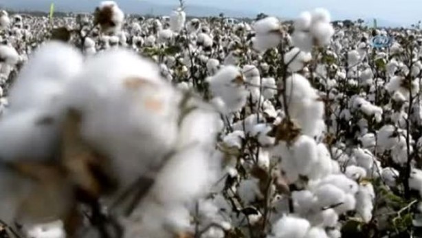 Foto - Yunanistan sahiplenmek istemişti! İşte Türkiye'nin AB tescilli o ürünleri