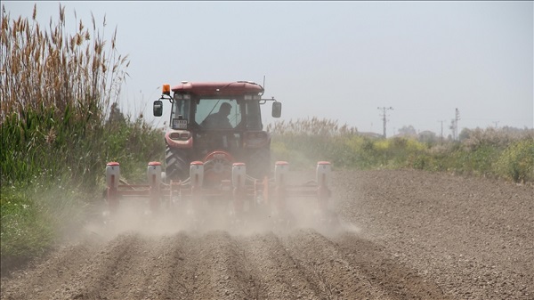 Foto - Yunanistan sahiplenmek istemişti! İşte Türkiye'nin AB tescilli o ürünleri
