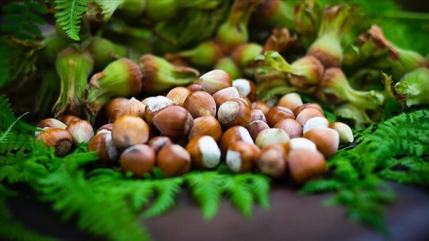 Foto - Yunanistan sahiplenmek istemişti! İşte Türkiye'nin AB tescilli o ürünleri