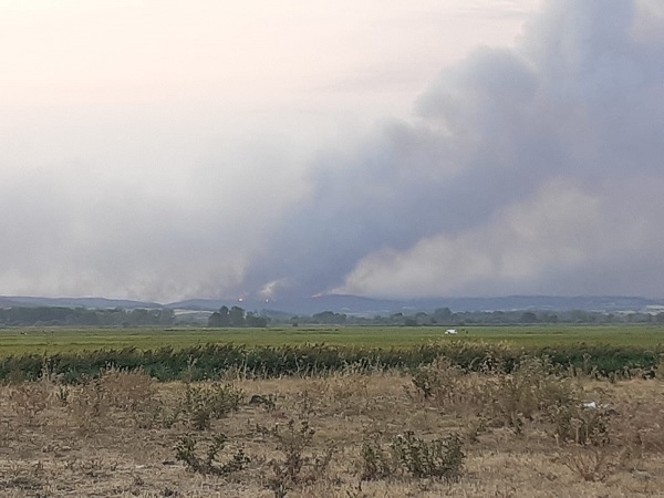 Foto - Yunanistan'daki yangın Edirne sınırına dayandı!