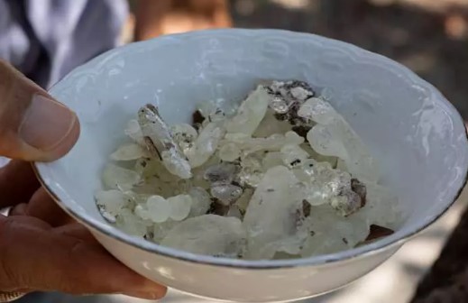 Foto - Yunanistan'ı solladı! Tüm Türkiye'nin ihtiyacını karşılıyor... Bakın kilosu kaç lira