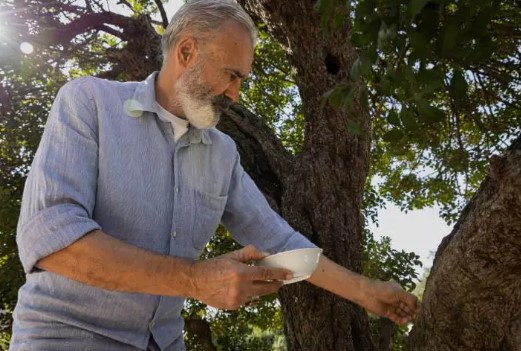 Foto - Yunanistan'ı solladı! Tüm Türkiye'nin ihtiyacını karşılıyor... Bakın kilosu kaç lira
